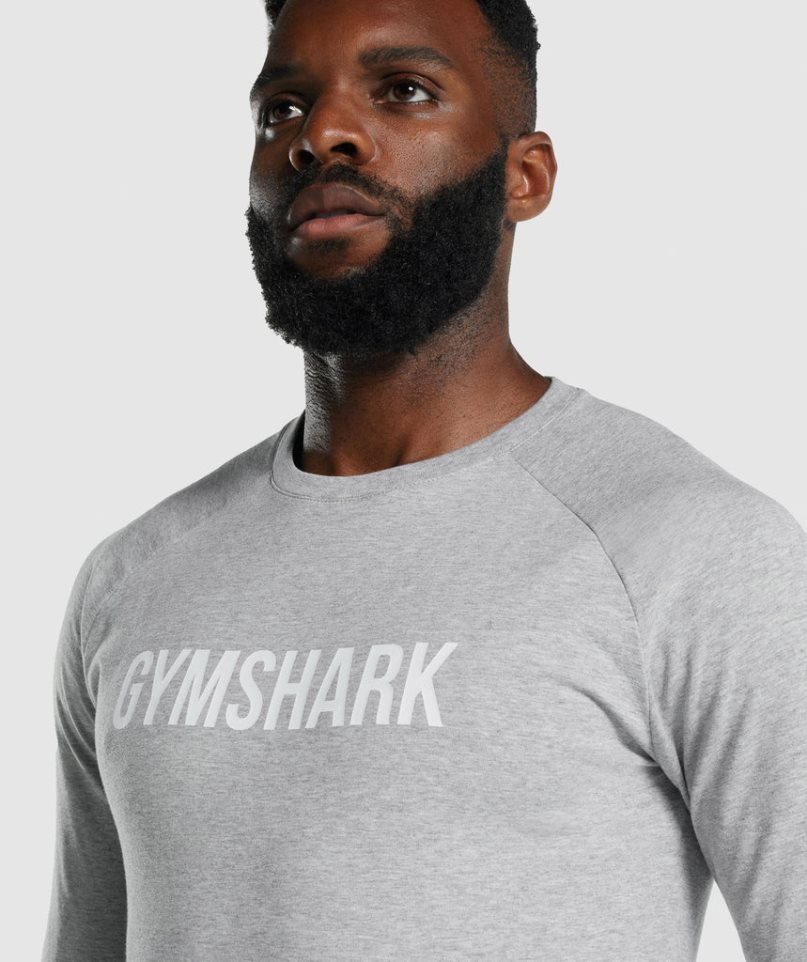 Men's Gymshark Apollo Long Sleeve T-Shirts Light Grey | CA A8756N